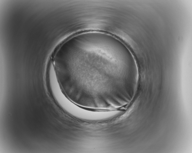 X0000088741077200706212052