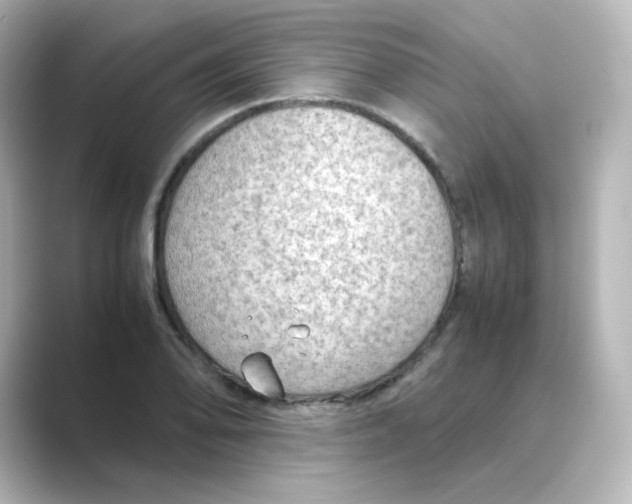 X0000088741078200706212052