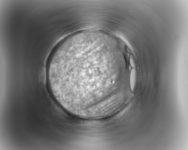 X0000088741079200706212052