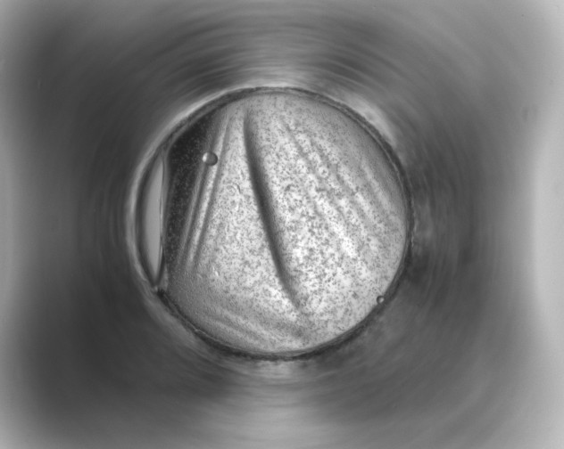 X0000088741080200706212052
