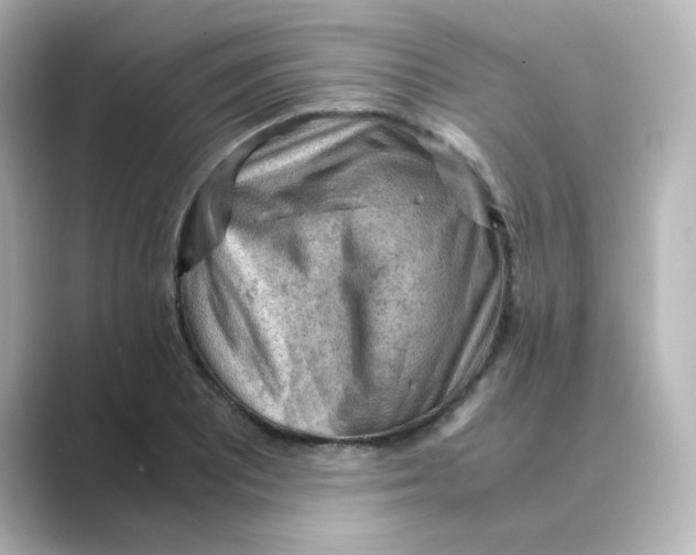 X0000088741081200706212052