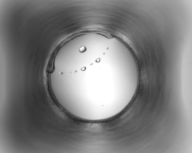 X0000088741082200706212052