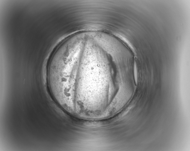 X0000088741083200706212052