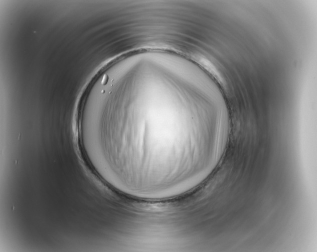 X0000088741084200706212052