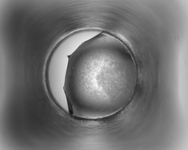 X0000088741085200706212052