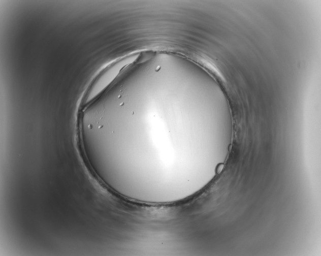 X0000088741087200706212052