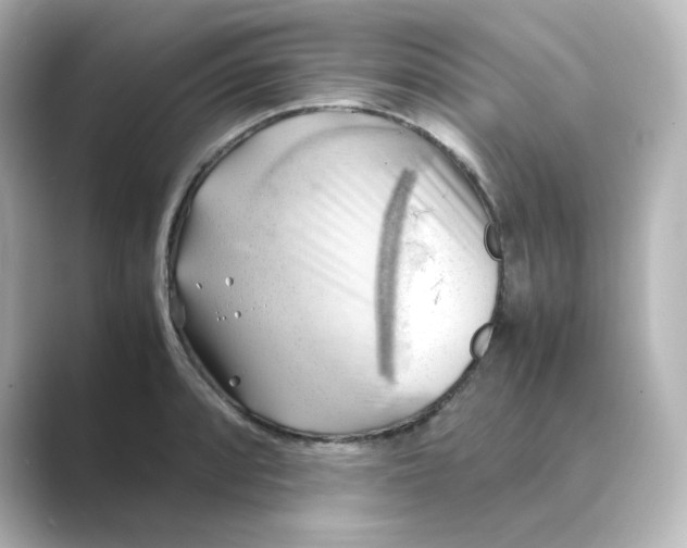 X0000088741088200706212052