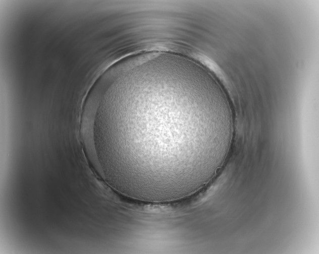X0000088741089200706212052