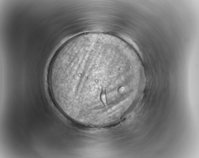 X0000088741091200706212052