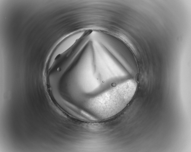 X0000088741092200706212052