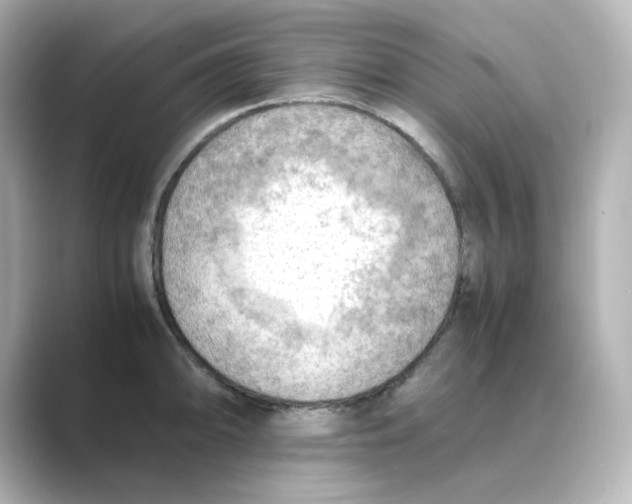 X0000088741094200706212052