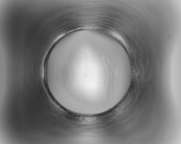 X0000088741095200706212052
