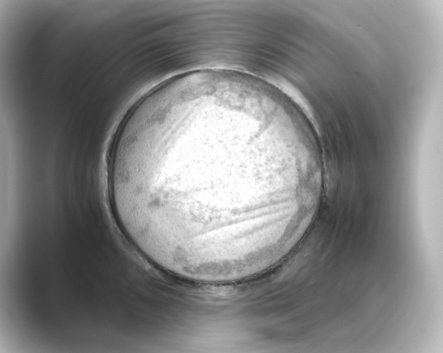 X0000088741096200706212052