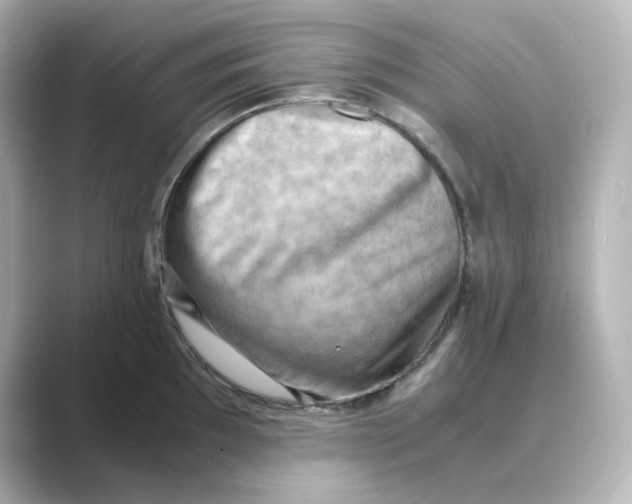 X0000088741097200706212052