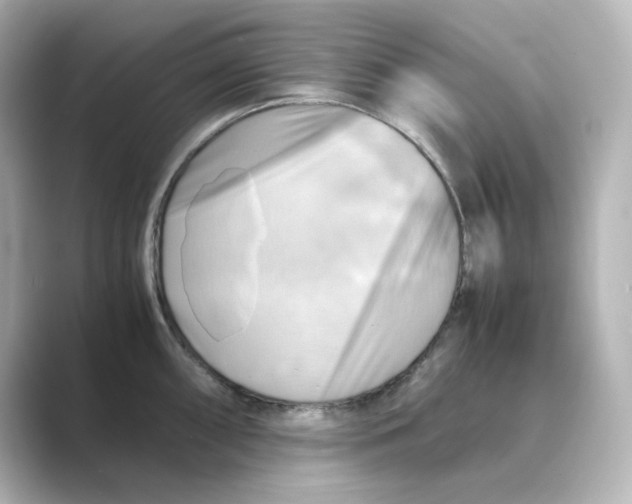X0000088741098200706212052
