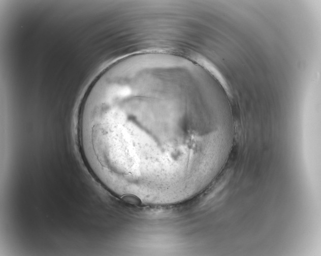 X0000088741099200706212052