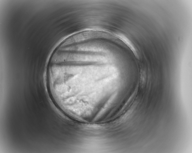 X0000088741100200706212052