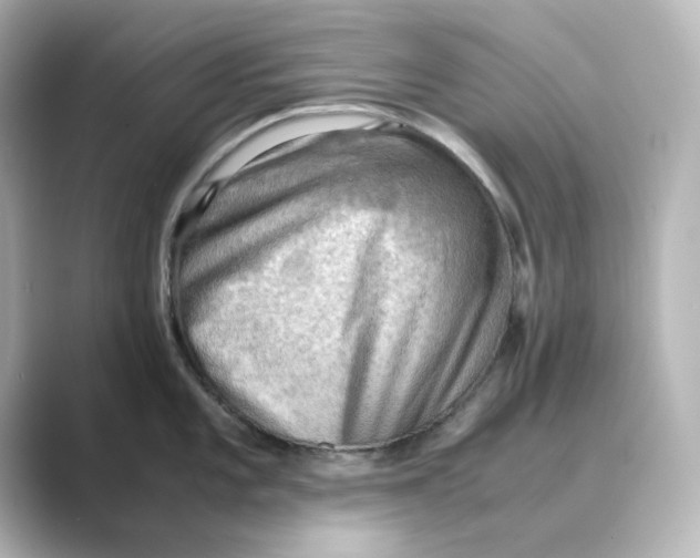 X0000088741101200706212052