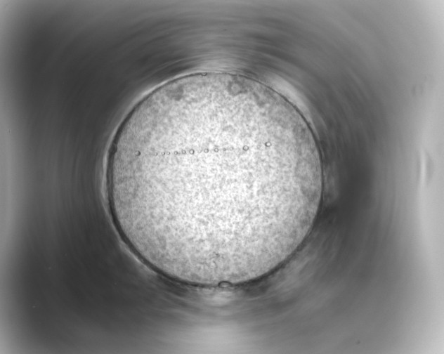 X0000088741103200706212052