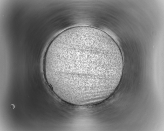 X0000088741104200706212052