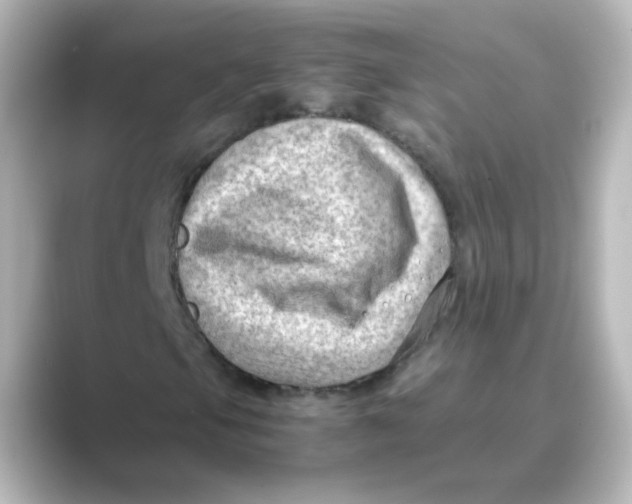 X0000088741105200706212052