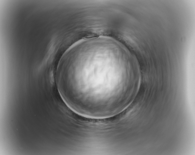 X0000088741106200706212052