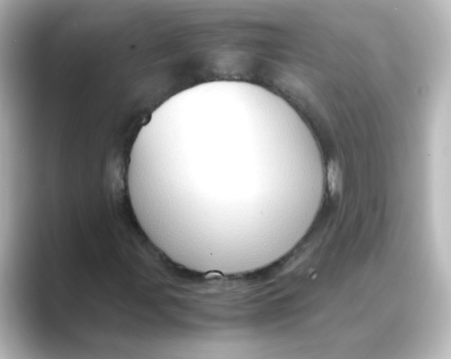 X0000088741107200706212052