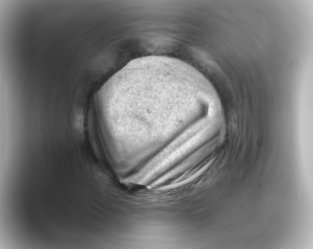 X0000088741108200706212052