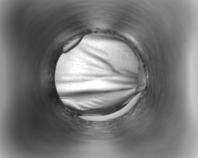 X0000088741112200706212052