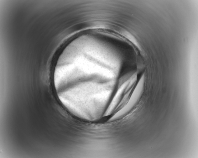 X0000088741116200706212052