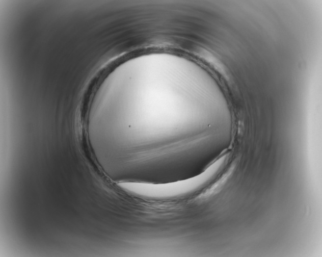 X0000088741117200706212052