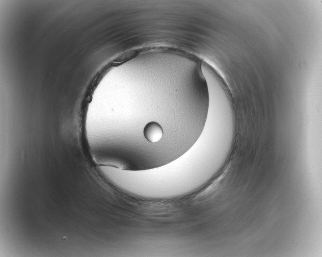 X0000088741119200706212052