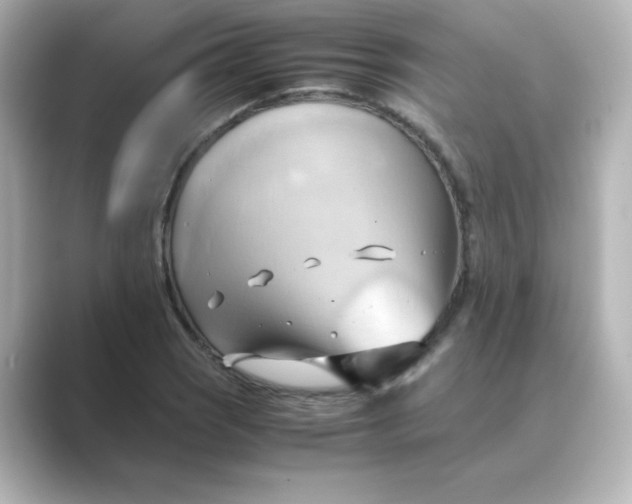 X0000088741121200706212052