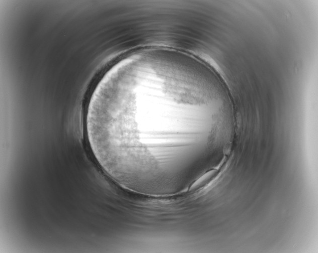 X0000088741123200706212052