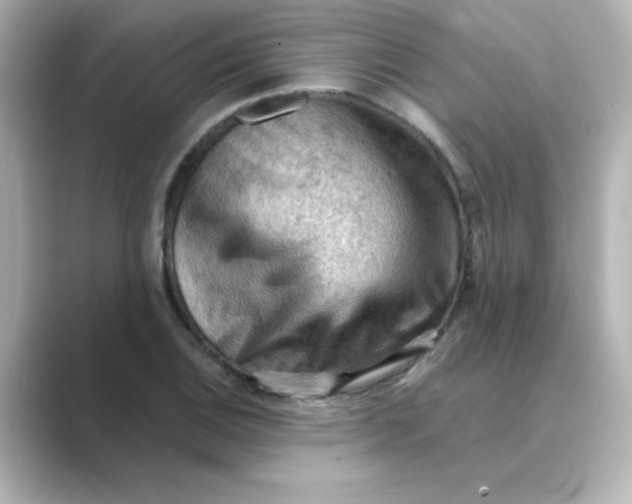 X0000088741124200706212052