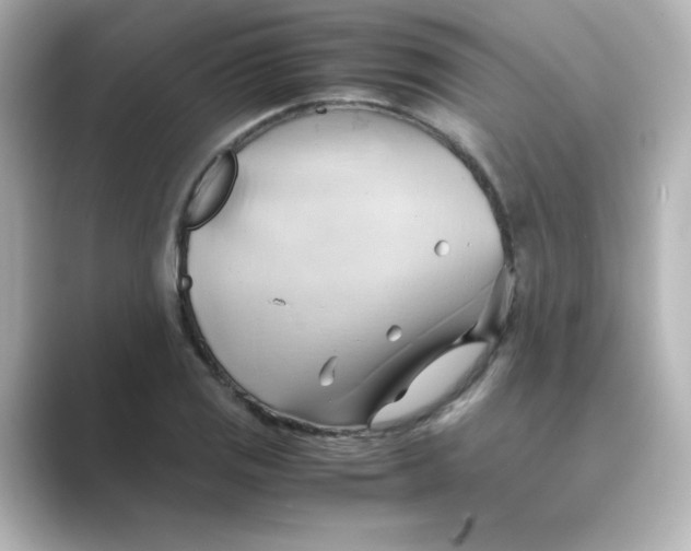 X0000088741125200706212052