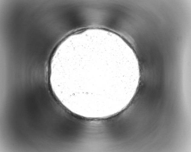 X0000088741126200706212052