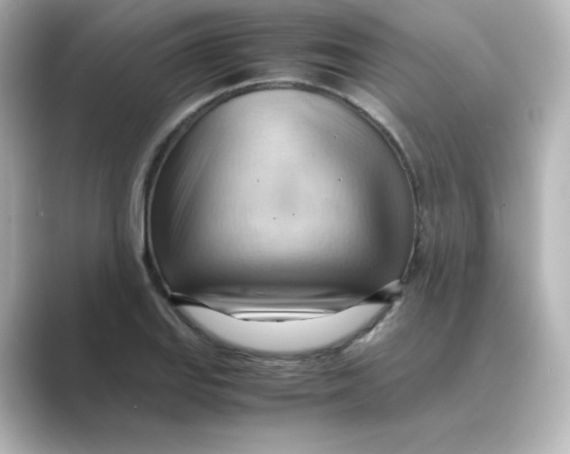 X0000088741127200706212052