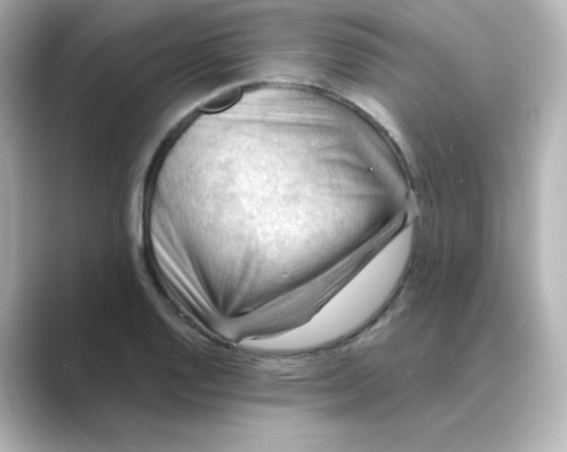 X0000088741128200706212052
