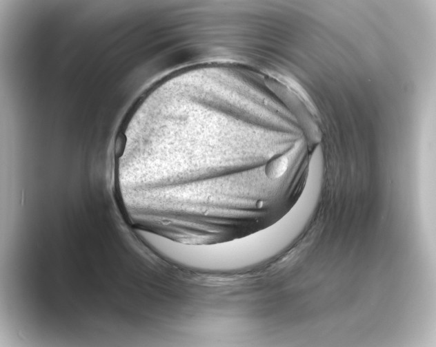 X0000088741132200706212052