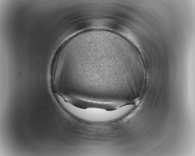 X0000088741133200706212052