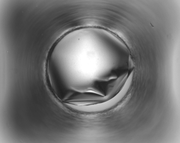 X0000088741134200706212052