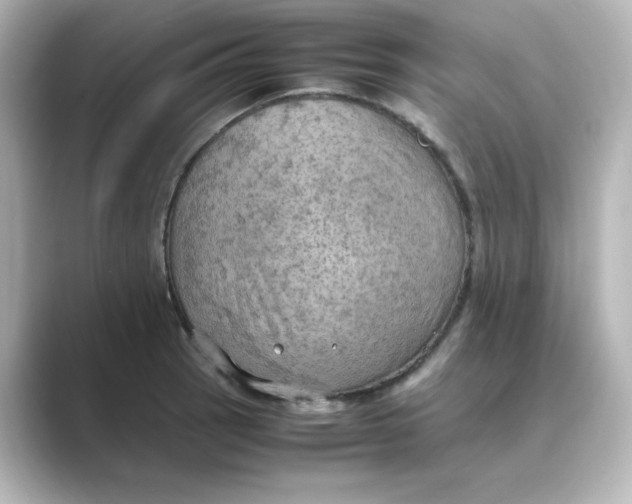X0000088741137200706212052