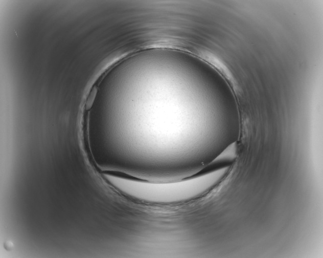 X0000088741138200706212052