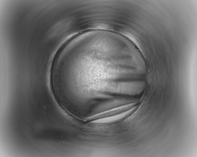 X0000088741139200706212052