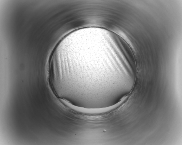 X0000088741140200706212052