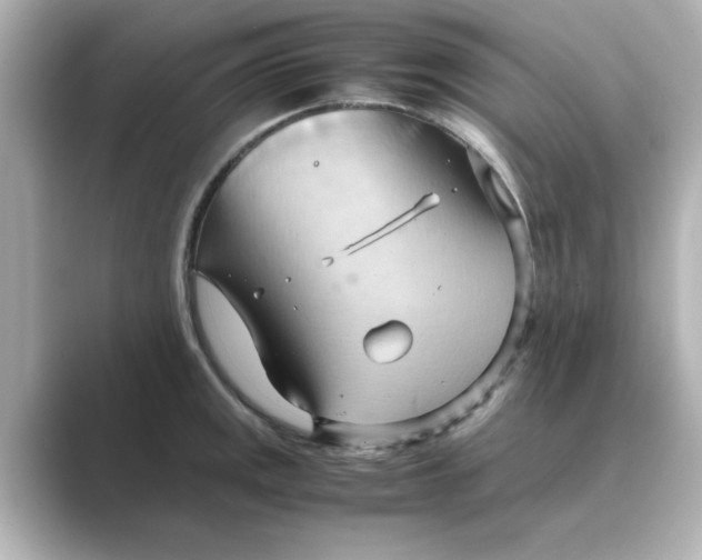 X0000088741141200706212052