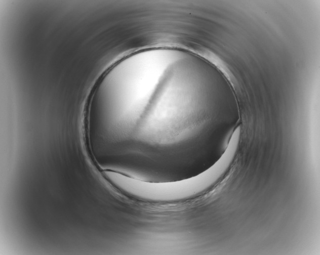 X0000088741142200706212052