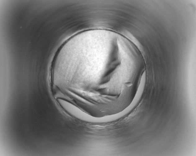 X0000088741144200706212052