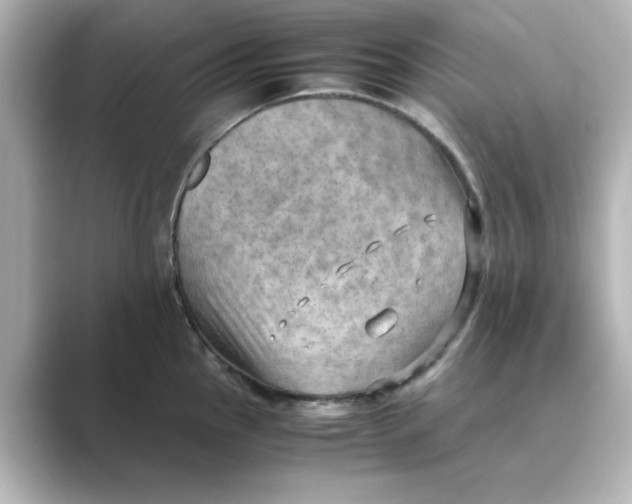 X0000088741145200706212052